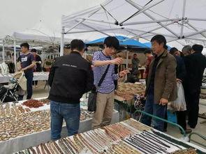 阿拉善展会爆料信息最新,绿色科技盛宴即将启幕 第3张 阿拉善展会爆料信息最新,绿色科技盛宴即将启幕 第3张